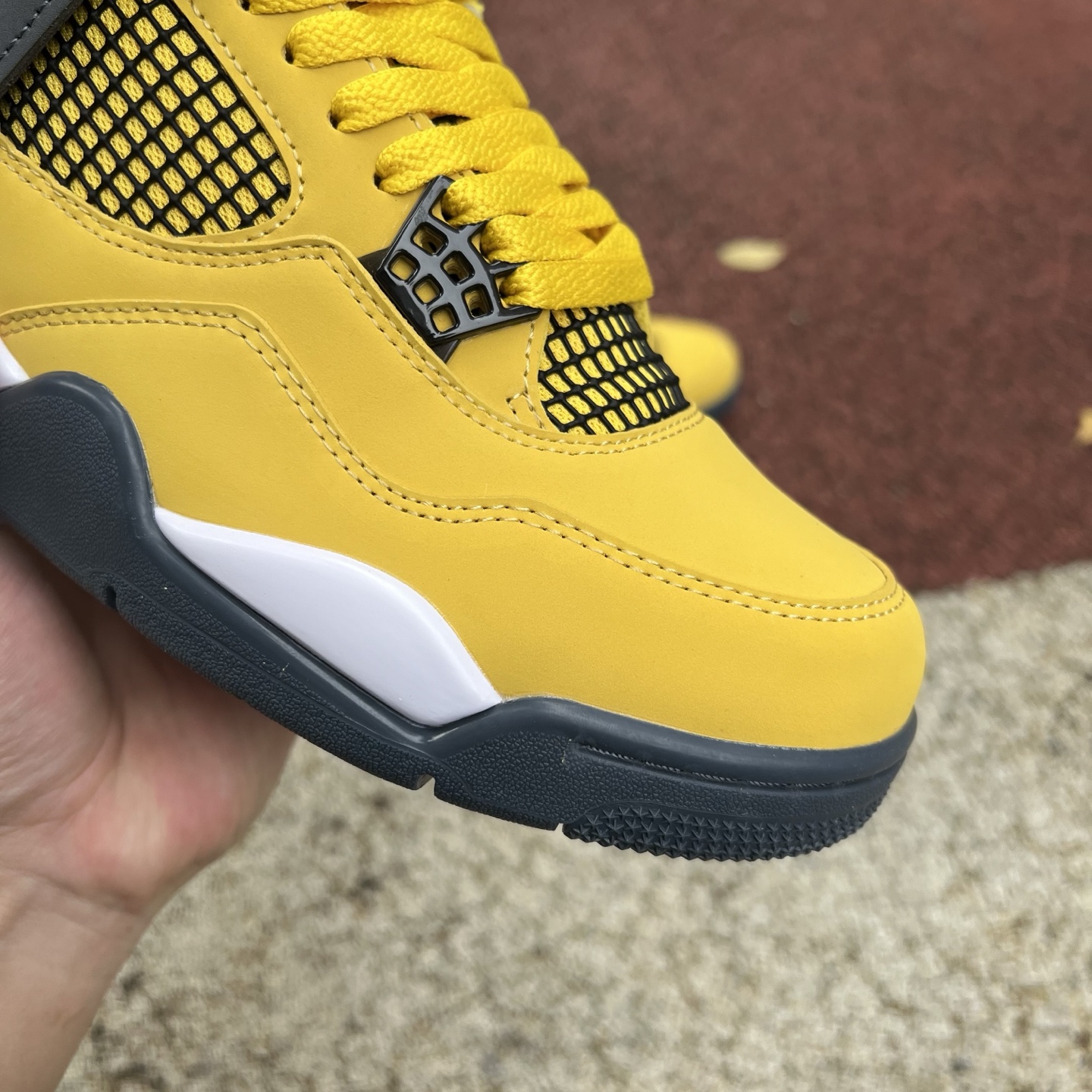 Nike Jordan shoe